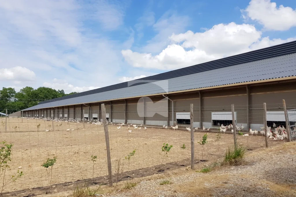 batiment poules maine et loire 10